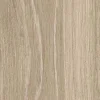 English Wood – Snowdonia
