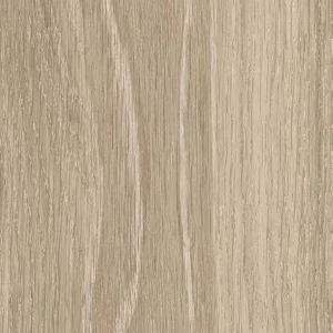 English Wood – Snowdonia